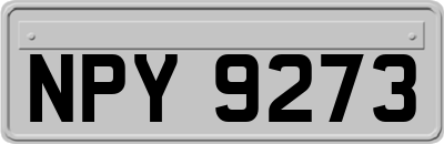NPY9273