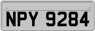 NPY9284