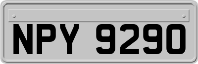 NPY9290
