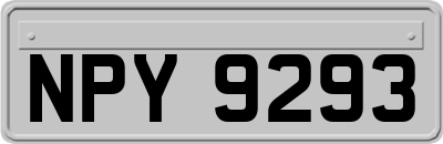 NPY9293