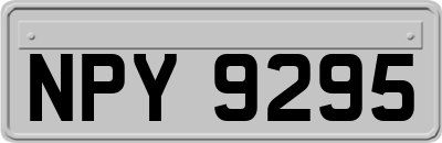 NPY9295