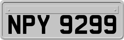 NPY9299