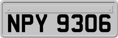 NPY9306