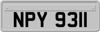 NPY9311