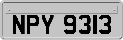 NPY9313