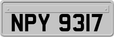 NPY9317