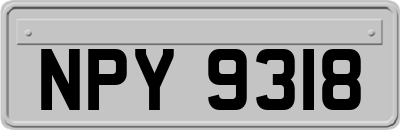 NPY9318