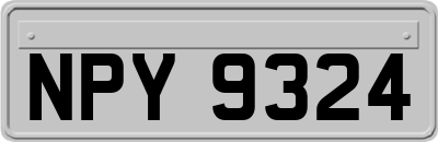 NPY9324