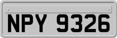 NPY9326
