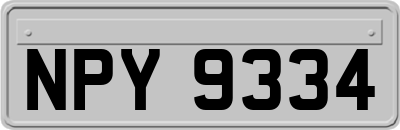 NPY9334