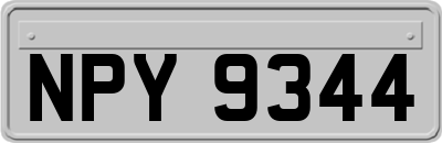 NPY9344