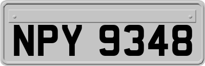 NPY9348