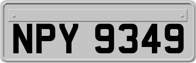 NPY9349