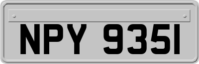 NPY9351