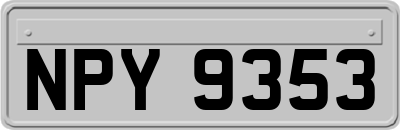 NPY9353