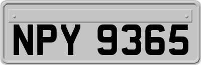 NPY9365