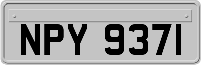 NPY9371