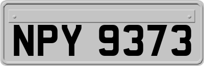 NPY9373