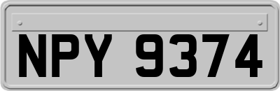NPY9374