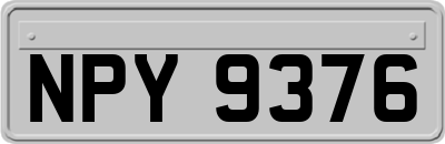 NPY9376