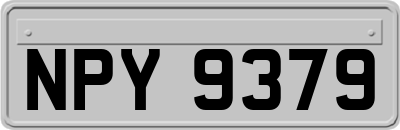 NPY9379
