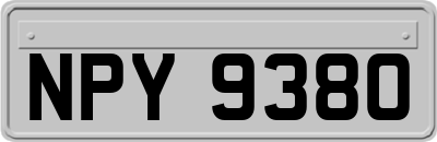 NPY9380