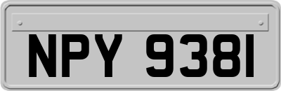 NPY9381