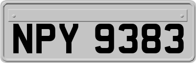 NPY9383