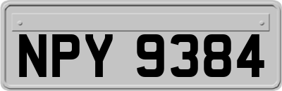 NPY9384