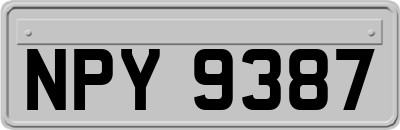 NPY9387