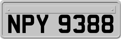 NPY9388