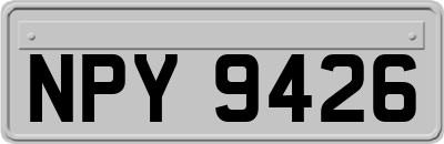 NPY9426