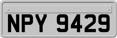 NPY9429