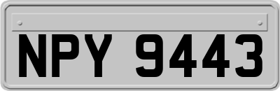 NPY9443