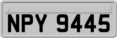 NPY9445