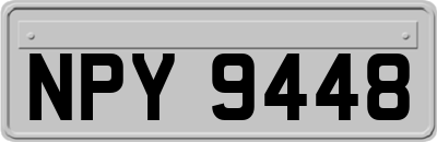 NPY9448