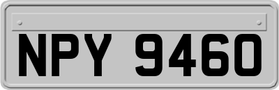 NPY9460