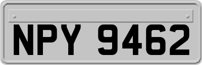 NPY9462
