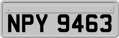 NPY9463
