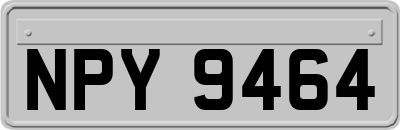 NPY9464