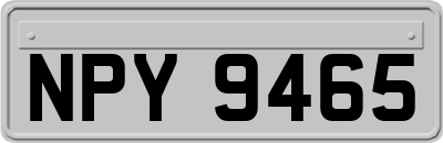 NPY9465