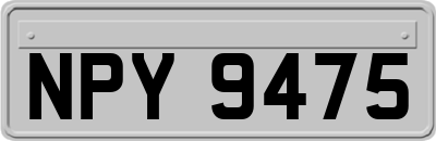 NPY9475