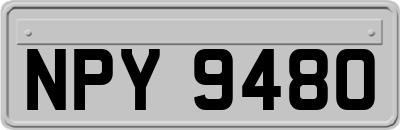 NPY9480