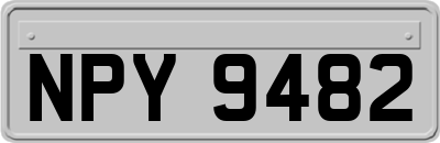 NPY9482