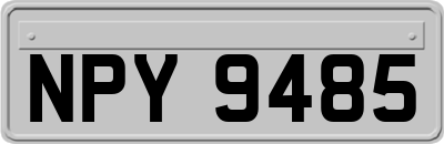 NPY9485