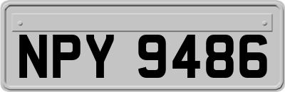NPY9486