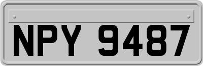 NPY9487