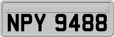 NPY9488