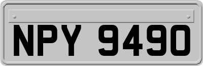 NPY9490