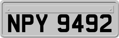 NPY9492